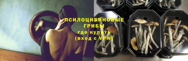 дживик Алексин