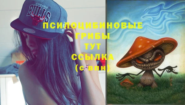 a pvp Алзамай